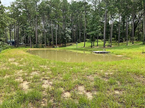 2nd image of 768 County Road 219