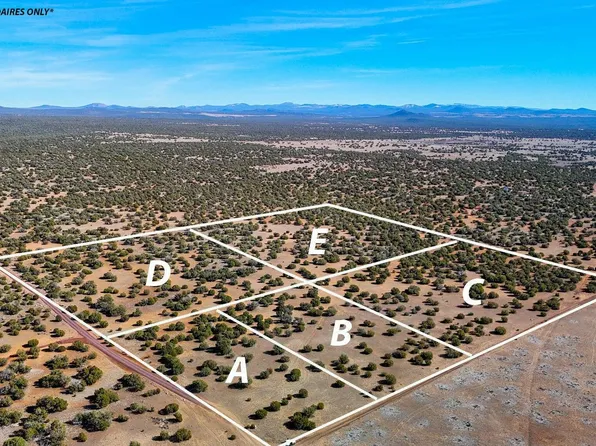 9023 Appaloosa Trl Lot E, Show Low, AZ 85901