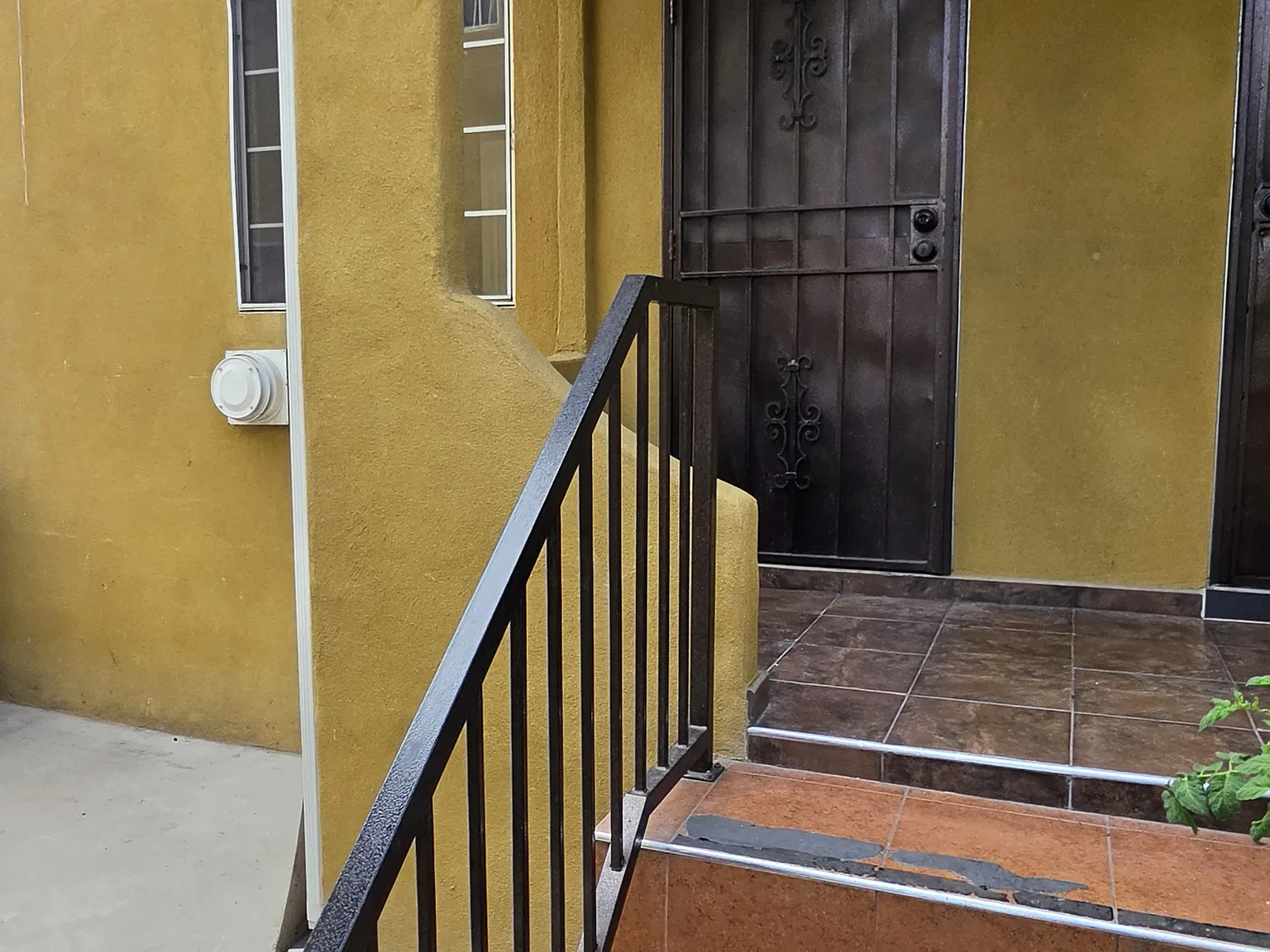1 bed, 560 sqft, $1,850 — Photo 2