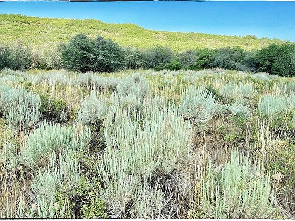 3rd image of 30025 County Road 179