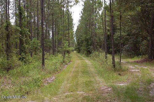 2nd image of 4221 NE County Road 219a