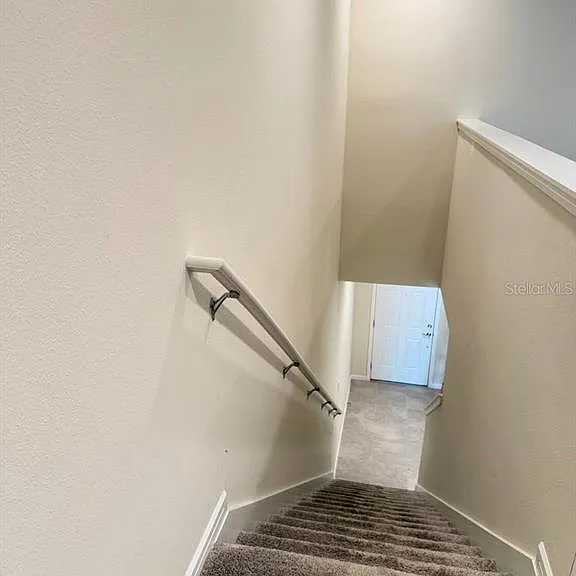 2817 Bright Bird Ln — Photo 29