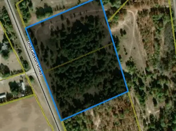Tbd Old Gibson Road Road, Hamlet, NC 28345