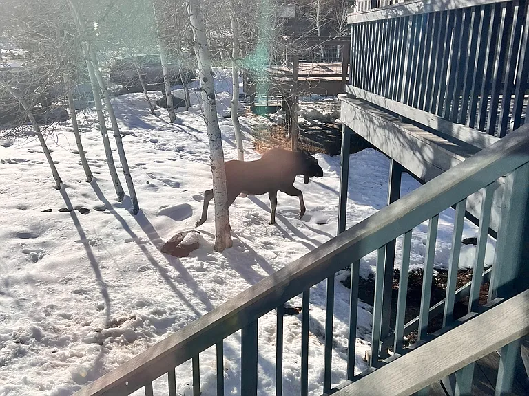 View from living room window