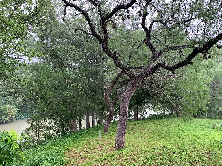 4311 FM 466 — Photo 13