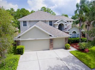 11637 Renaissance View Ct, Tampa, FL 33626