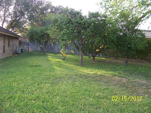 5 citrus trees, 2 AC units
