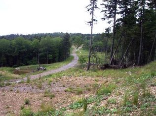 Ss3 Sawmill Village Rd, Snowshoe, WV 26209