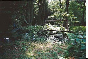 2nd image of 100 Maple Dr