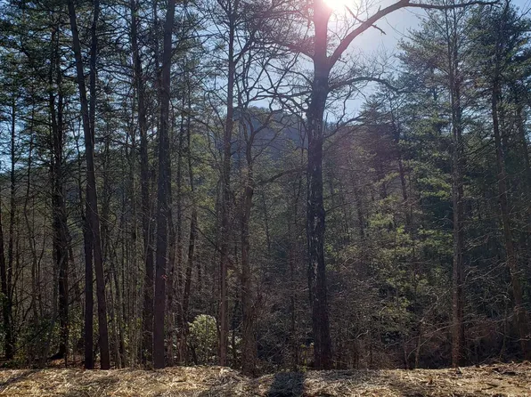 13AC Johnson Cove Rd, Copperhill, TN 37317