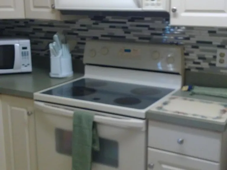 1004 SE 8th St #2 — Photo 9