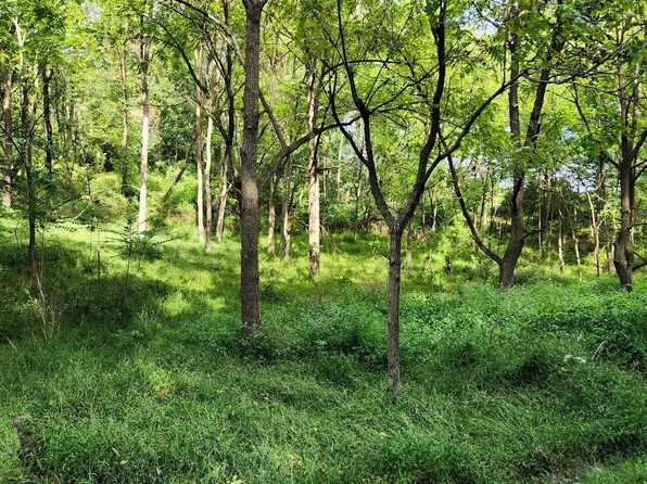 0 Green Point School Rd, Jonestown, PA 17038