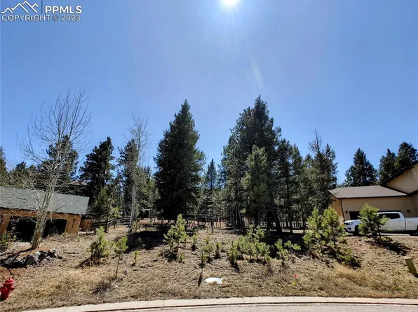 651 Misty Pines Cir, Woodland Park, CO 80863