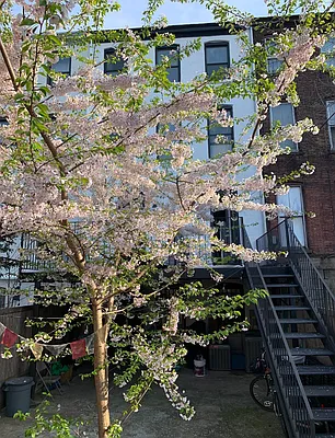 Rented by Curated by Soiti LLC | media 26