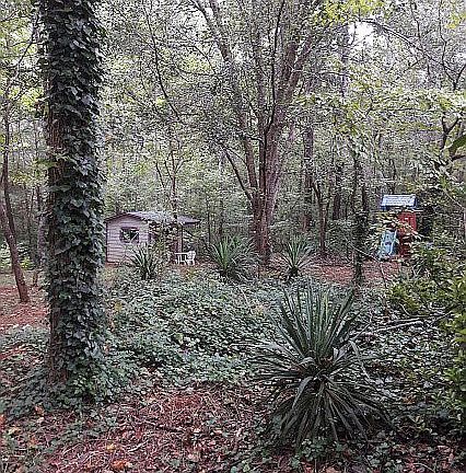 5th image of 4984 Caney Creek Dr