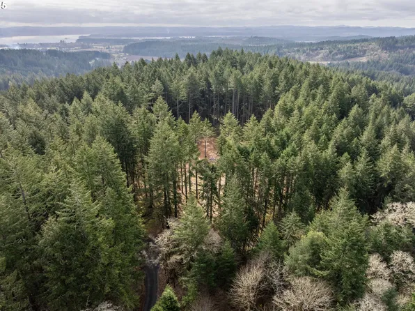 0 Friday Ln, Junction City, OR 97448