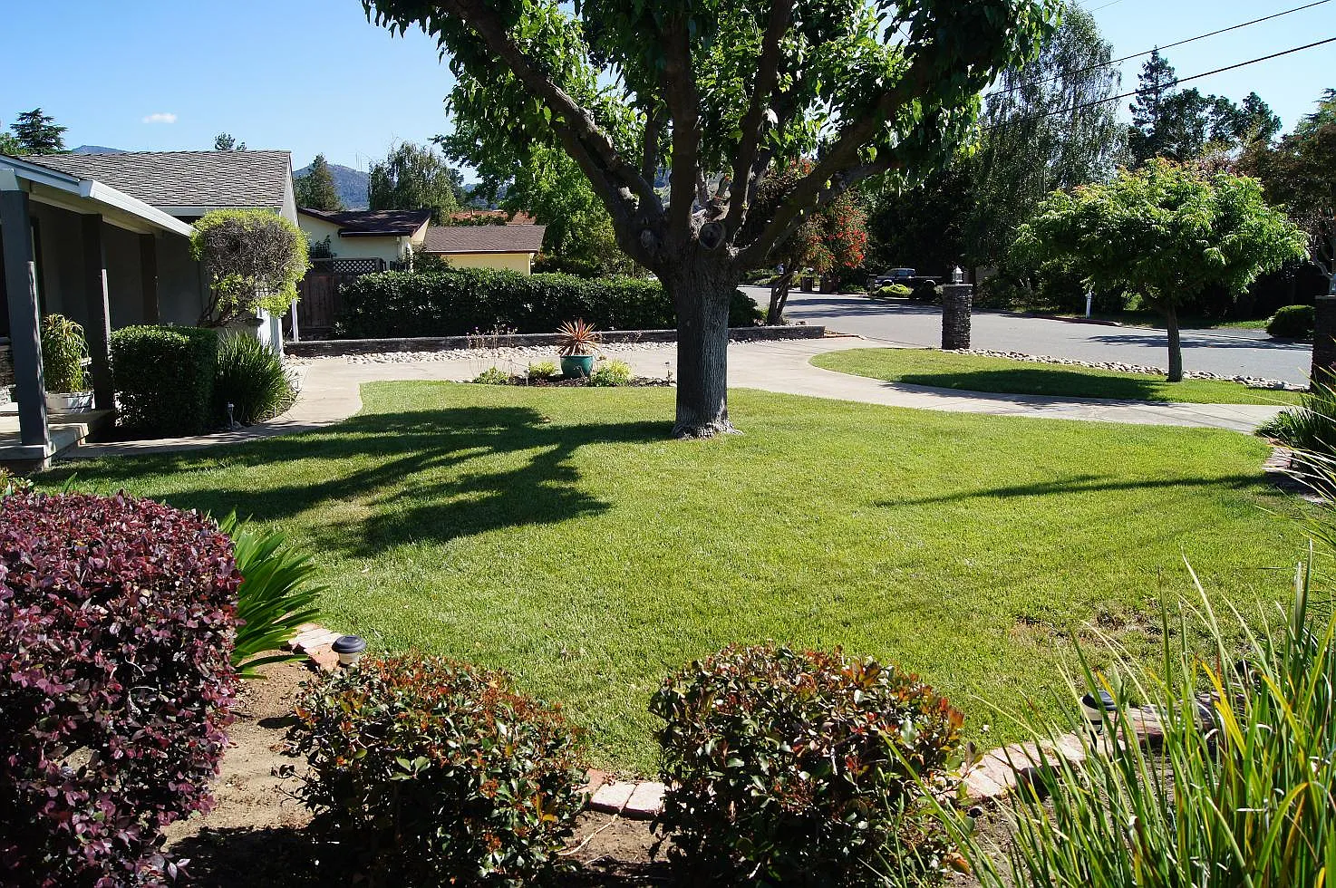 1462 Yosemite Cir photo 1