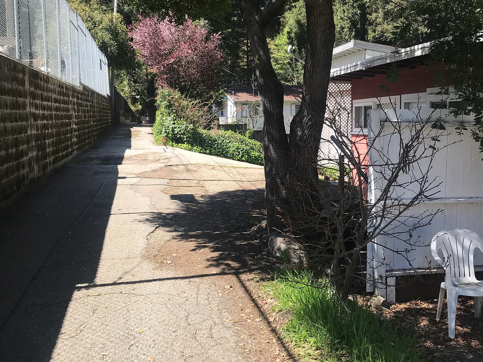1 bed, 410 sqft, $1,590 — Photo 4