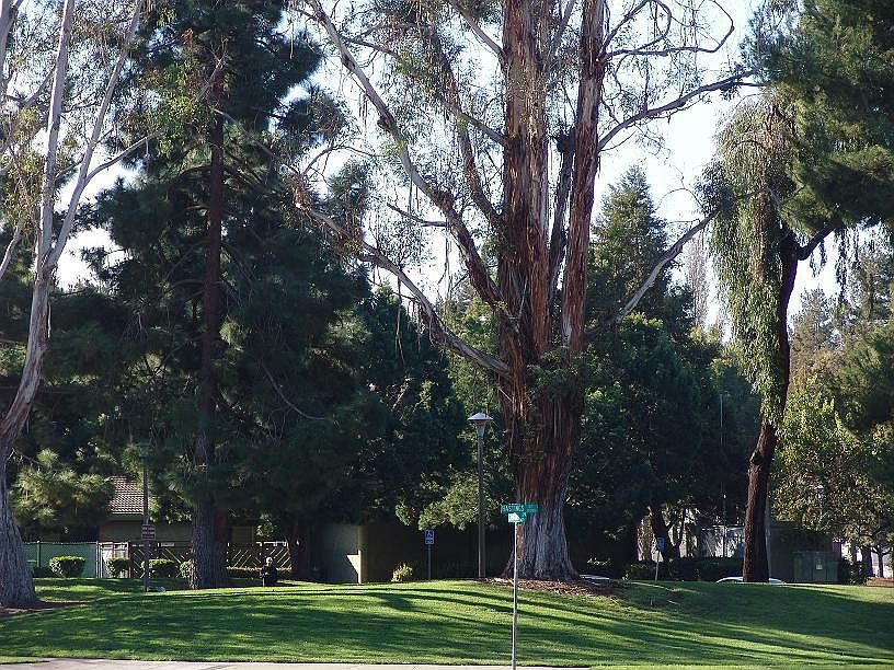 2nd image of 3261 Country Dr