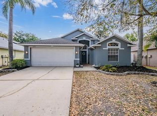 18955 Wood Sage Dr, Tampa, FL 33647