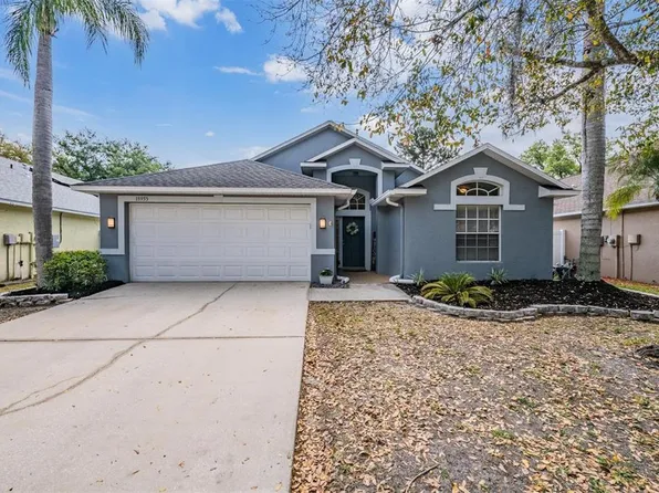 18955 Wood Sage Dr, Tampa, FL 33647