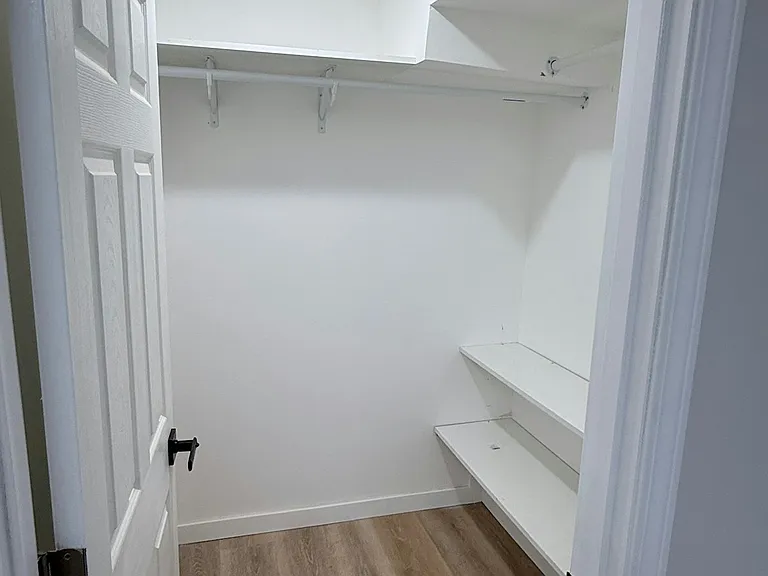 Walk-in closet - lower level