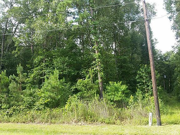 3rd image of 23877 Wild Forest Dr