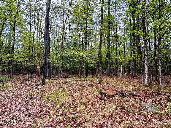 4th image of L59 Pilot Knob Road