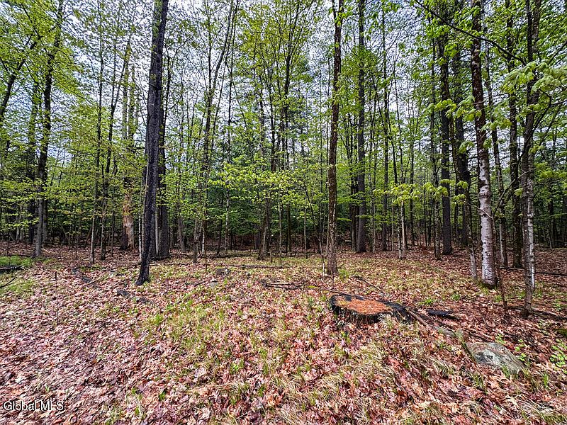 4th image of L59 Pilot Knob Road