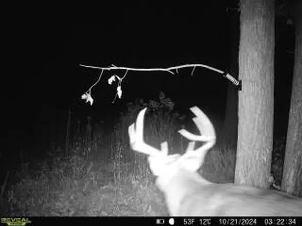 XX County Road W, Strickland, WI 54868