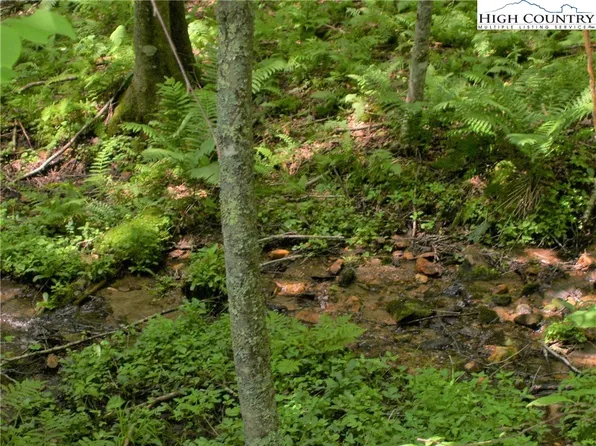 TBD Pine Knoll Dr, Fleetwood, NC 28626