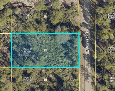 1203 McArthur Ave, Lehigh Acres, FL, 33972