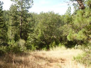 Shake Ridge Road, Volcano, CA 95689