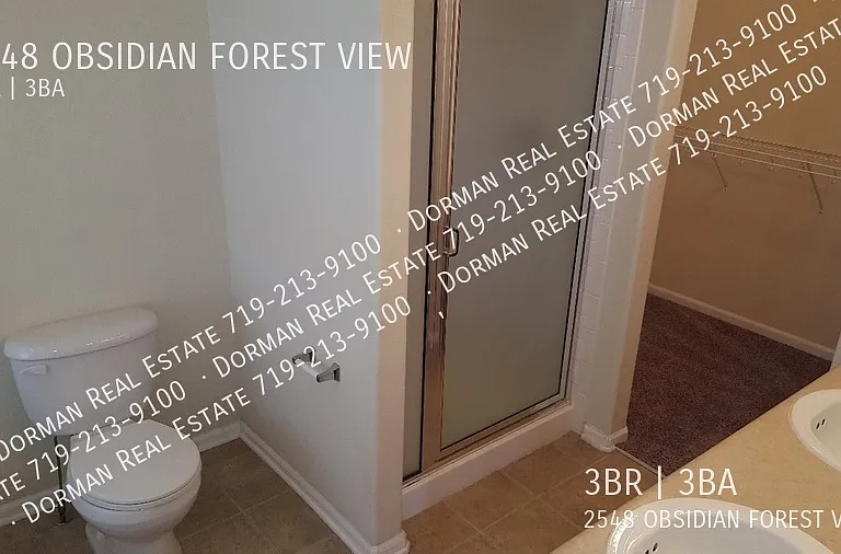 2548 Obsidian Forest Vw — Photo 12