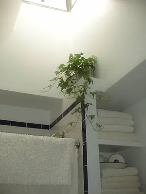 Rented by Brooklyn Bridge | media 24