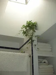 Rented by Brooklyn Bridge