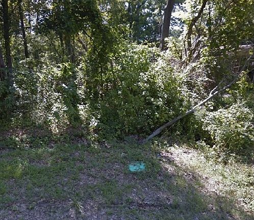2nd image of 1732 N Clark Ave