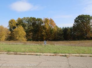 8199 Old Farm Trl, Laingsburg, MI 48848