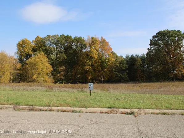 8199 Old Farm Trl, Laingsburg, MI 48848