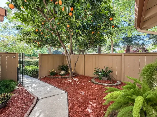 1241 Beaulieu Ct, San Jose, CA 95125