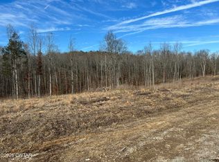 0 Robinson Levee Rd, Mc Kenzie, TN 38201