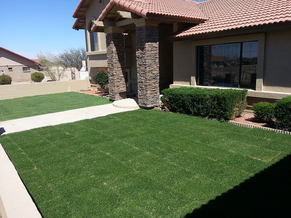 Front Court Yard