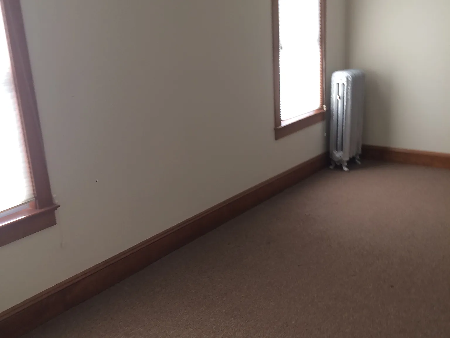 1 bed, $1,450 — Photo 2