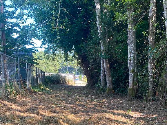 4th image of 4415 Lake Earl Dr
