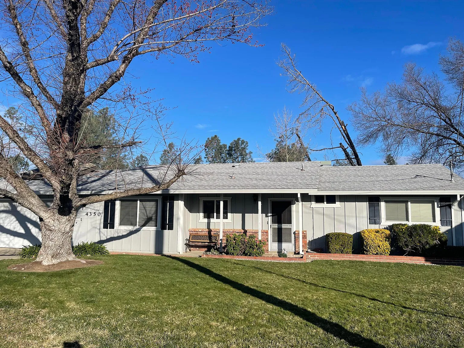 3 bed, 1244 sqft, $1,850 — Photo 2
