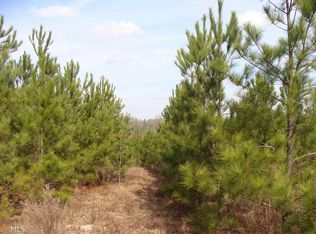 1 Highway 88 Ramsey Tract, Wrens, GA 30833