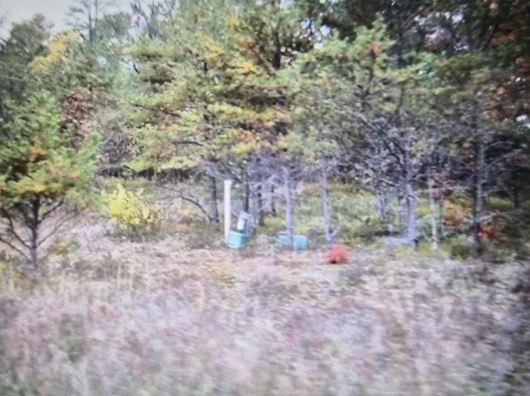 LOT 30 Northwood Dr, Grayling, MI 49738