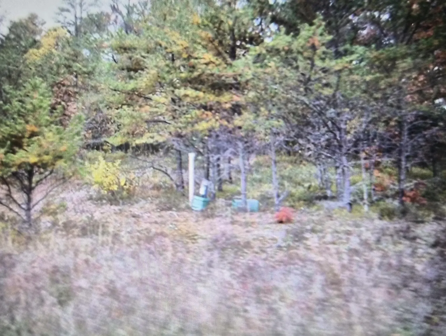 LOT 30 Northwood Dr photo 1