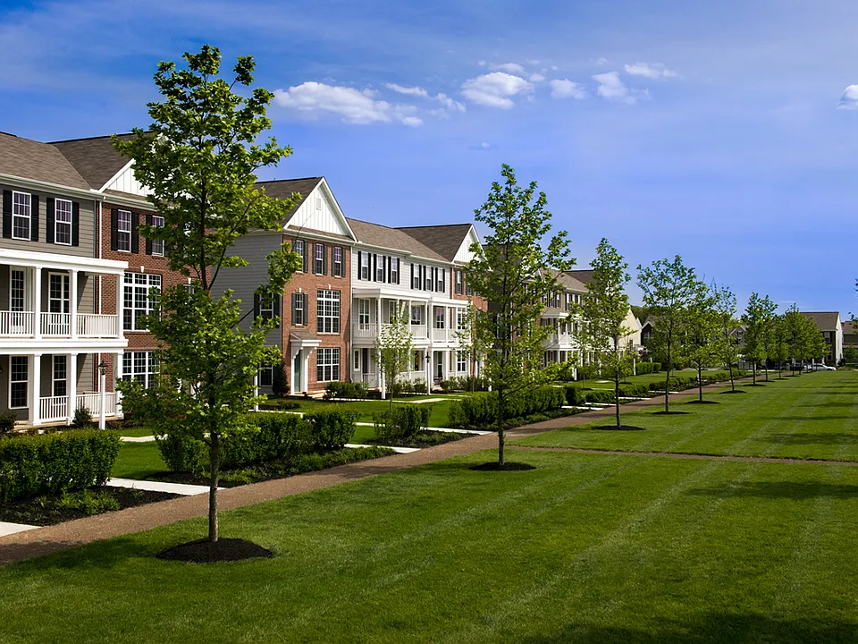 The Grove