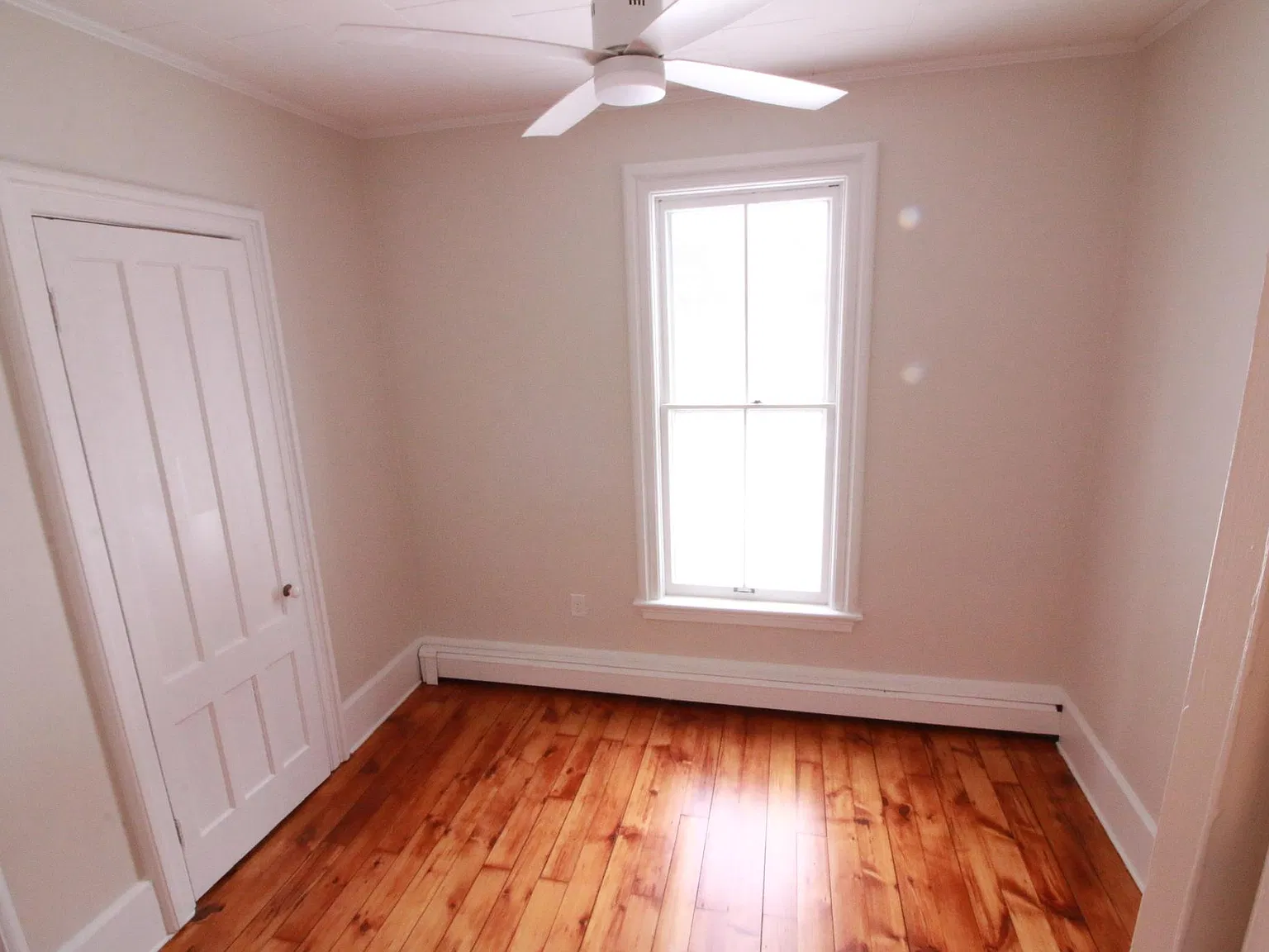 1 bed, 900 sqft, $1,575 — Photo 2